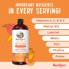 Multivitaminico Mary Ruths